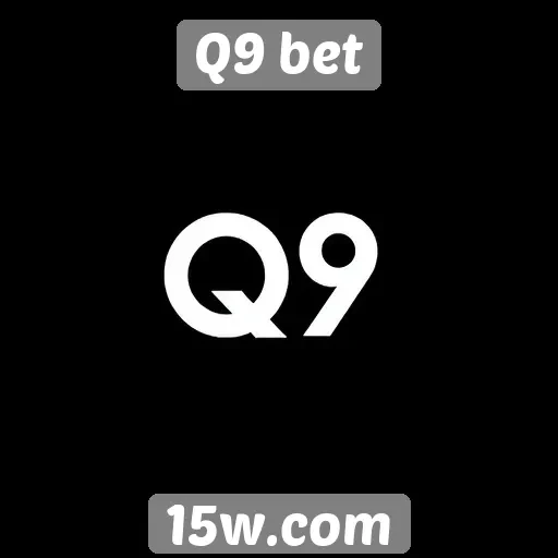 Experiência do usuário no site Q9 bet